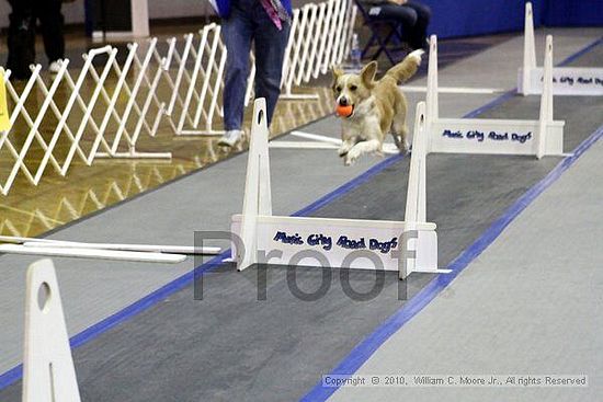 MCRD Unplugged Flyball Tournement<br />March 21st, 2010