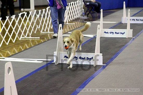 MCRD Unplugged Flyball Tournement<br />March 21st, 2010