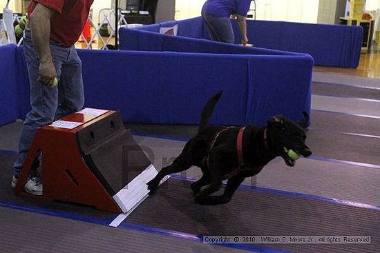 MCRD Unplugged Flyball Tournement<br />March 21st, 2010