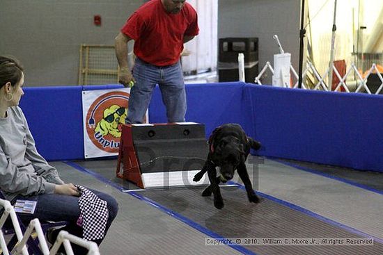 MCRD Unplugged Flyball Tournement<br />March 21st, 2010