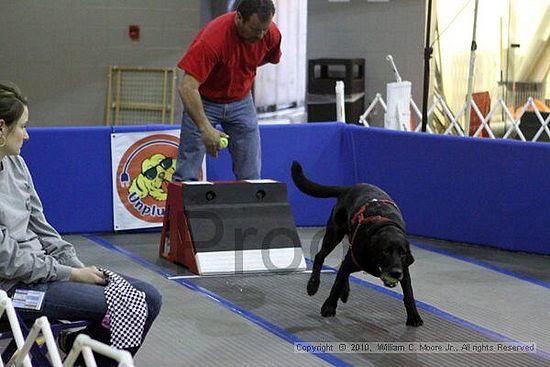 MCRD Unplugged Flyball Tournement<br />March 21st, 2010