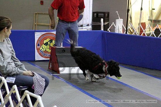 MCRD Unplugged Flyball Tournement<br />March 21st, 2010