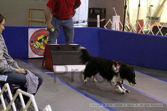 MCRD Unplugged Flyball Tournement<br />March 21st, 2010