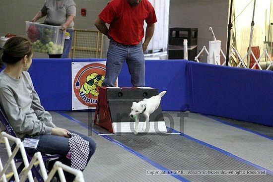 MCRD Unplugged Flyball Tournement<br />March 21st, 2010