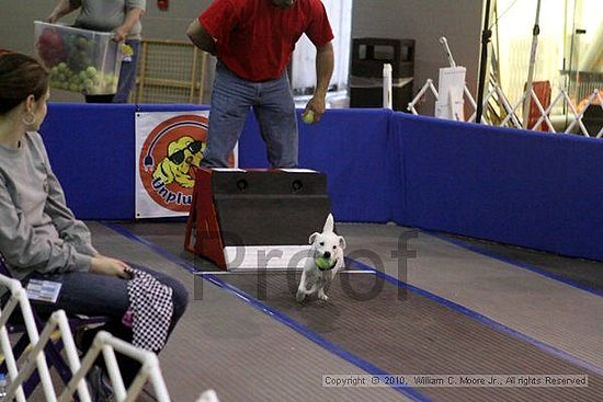 MCRD Unplugged Flyball Tournement<br />March 21st, 2010