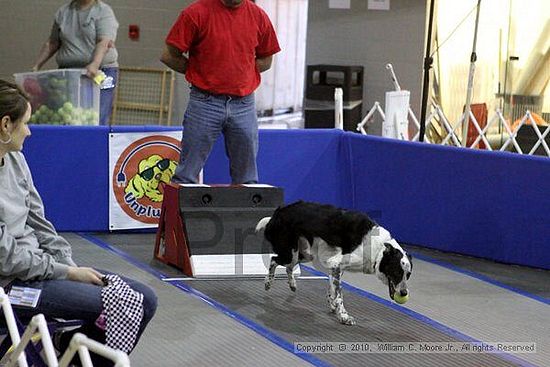 MCRD Unplugged Flyball Tournement<br />March 21st, 2010