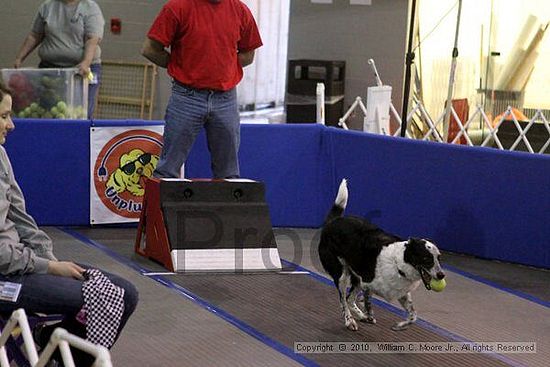 MCRD Unplugged Flyball Tournement<br />March 21st, 2010