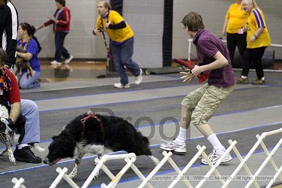 MCRD Unplugged Flyball Tournement<br />March 21st, 2010