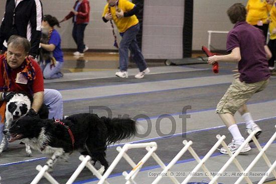 MCRD Unplugged Flyball Tournement<br />March 21st, 2010