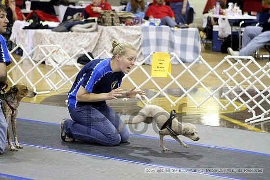 MCRD Unplugged Flyball Tournement<br />March 21st, 2010