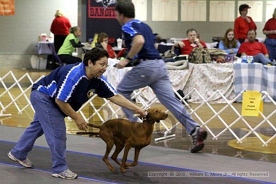 MCRD Unplugged Flyball Tournement<br />March 21st, 2010