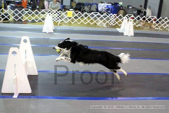 MCRD Unplugged Flyball Tournement<br />March 21st, 2010