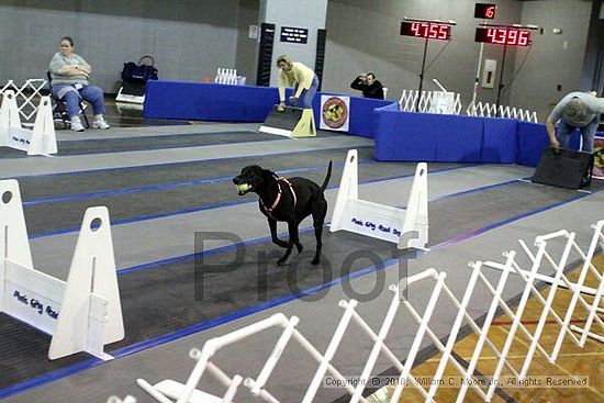 MCRD Unplugged Flyball Tournement<br />March 21st, 2010