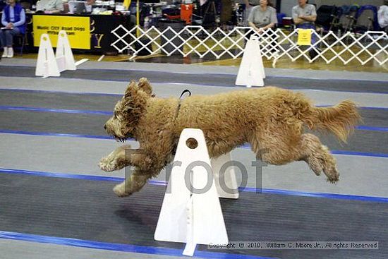 MCRD Unplugged Flyball Tournement<br />March 21st, 2010