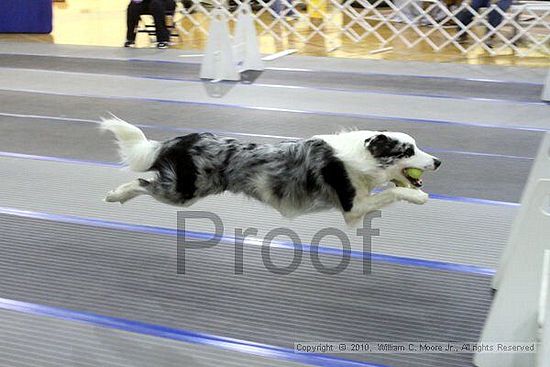 MCRD Unplugged Flyball Tournement<br />March 21st, 2010