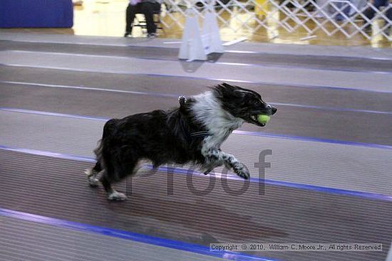 MCRD Unplugged Flyball Tournement<br />March 21st, 2010