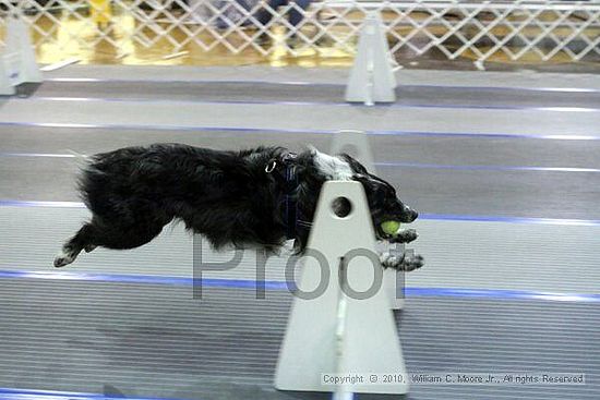 MCRD Unplugged Flyball Tournement<br />March 21st, 2010