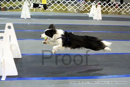 MCRD Unplugged Flyball Tournement<br />March 21st, 2010