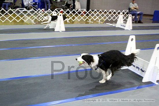 MCRD Unplugged Flyball Tournement<br />March 21st, 2010