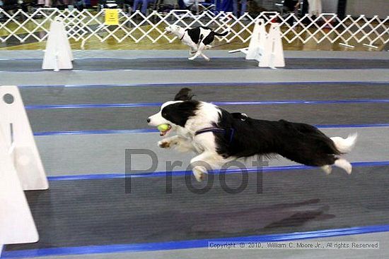 MCRD Unplugged Flyball Tournement<br />March 21st, 2010