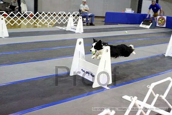 MCRD Unplugged Flyball Tournement<br />March 21st, 2010