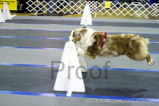 MCRD Unplugged Flyball Tournement<br />March 21st, 2010