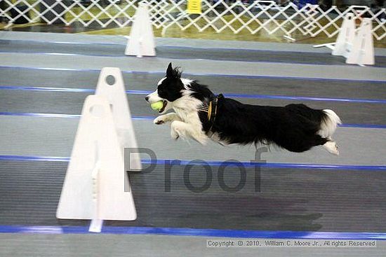 MCRD Unplugged Flyball Tournement<br />March 21st, 2010