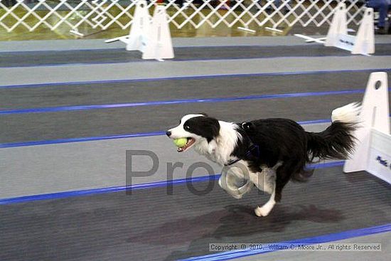 MCRD Unplugged Flyball Tournement<br />March 21st, 2010