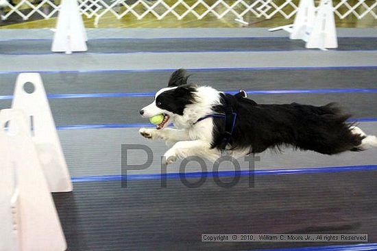 MCRD Unplugged Flyball Tournement<br />March 21st, 2010