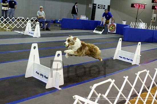 MCRD Unplugged Flyball Tournement<br />March 21st, 2010