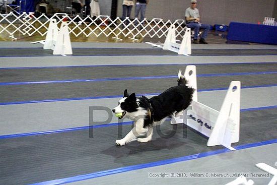 MCRD Unplugged Flyball Tournement<br />March 21st, 2010