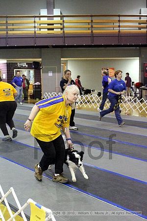 MCRD Unplugged Flyball Tournement<br />March 21st, 2010