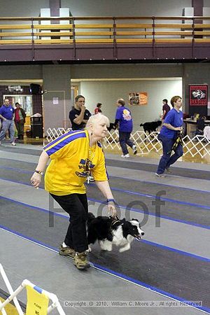 MCRD Unplugged Flyball Tournement<br />March 21st, 2010