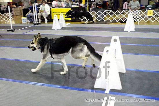 MCRD Unplugged Flyball Tournement<br />March 21st, 2010