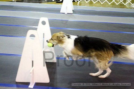 MCRD Unplugged Flyball Tournement<br />March 21st, 2010