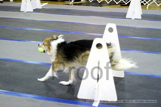 MCRD Unplugged Flyball Tournement<br />March 21st, 2010