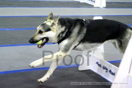 MCRD Unplugged Flyball Tournement<br />March 21st, 2010