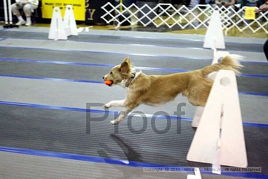 MCRD Unplugged Flyball Tournement<br />March 21st, 2010