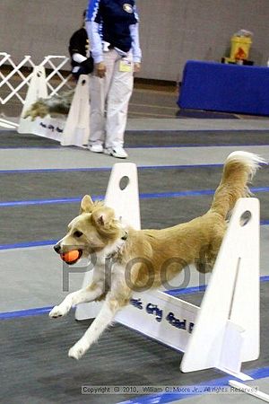 MCRD Unplugged Flyball Tournement<br />March 21st, 2010