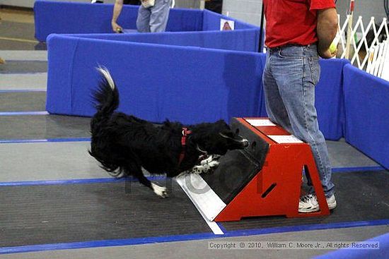 MCRD Unplugged Flyball Tournement<br />March 21st, 2010