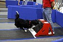 img_3265_thm.jpg