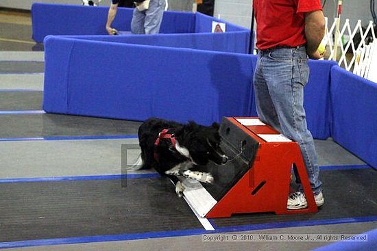 MCRD Unplugged Flyball Tournement<br />March 21st, 2010