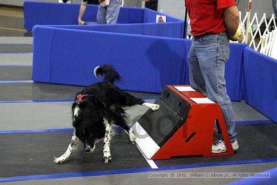 MCRD Unplugged Flyball Tournement<br />March 21st, 2010