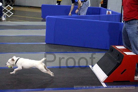 MCRD Unplugged Flyball Tournement<br />March 21st, 2010