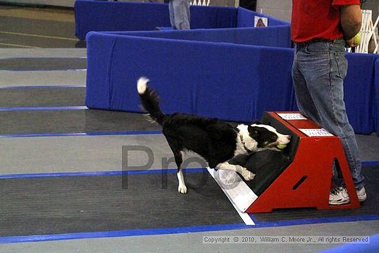 MCRD Unplugged Flyball Tournement<br />March 21st, 2010