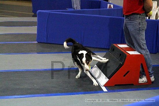 MCRD Unplugged Flyball Tournement<br />March 21st, 2010