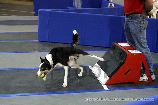 MCRD Unplugged Flyball Tournement<br />March 21st, 2010