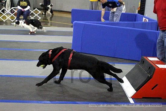 MCRD Unplugged Flyball Tournement<br />March 21st, 2010