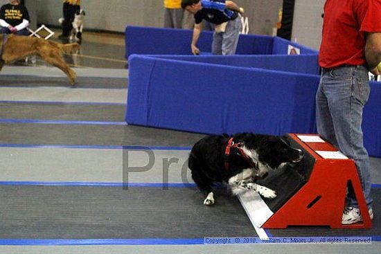 MCRD Unplugged Flyball Tournement<br />March 21st, 2010