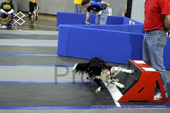 MCRD Unplugged Flyball Tournement<br />March 21st, 2010